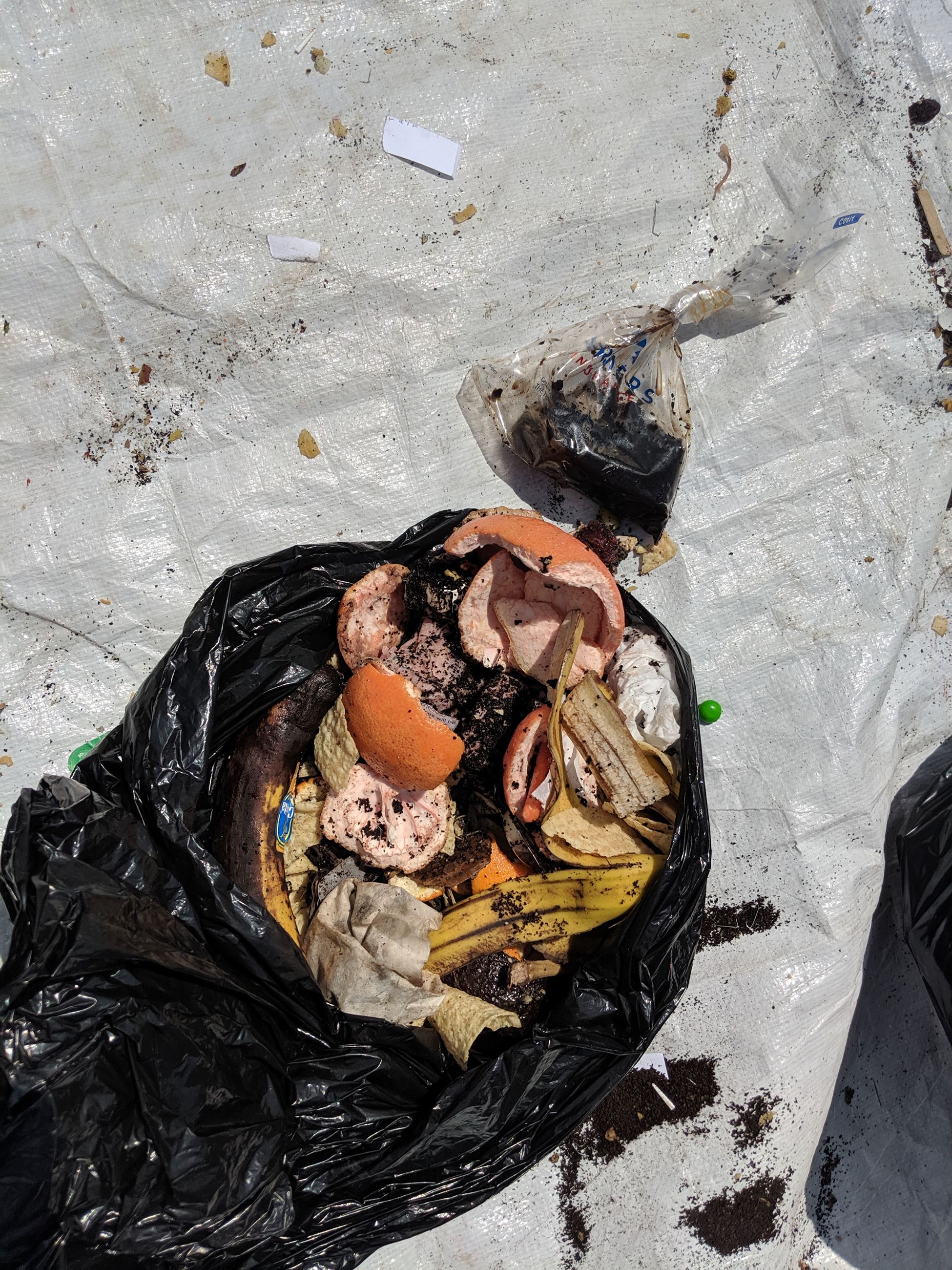 MVIMG_20190807_134621