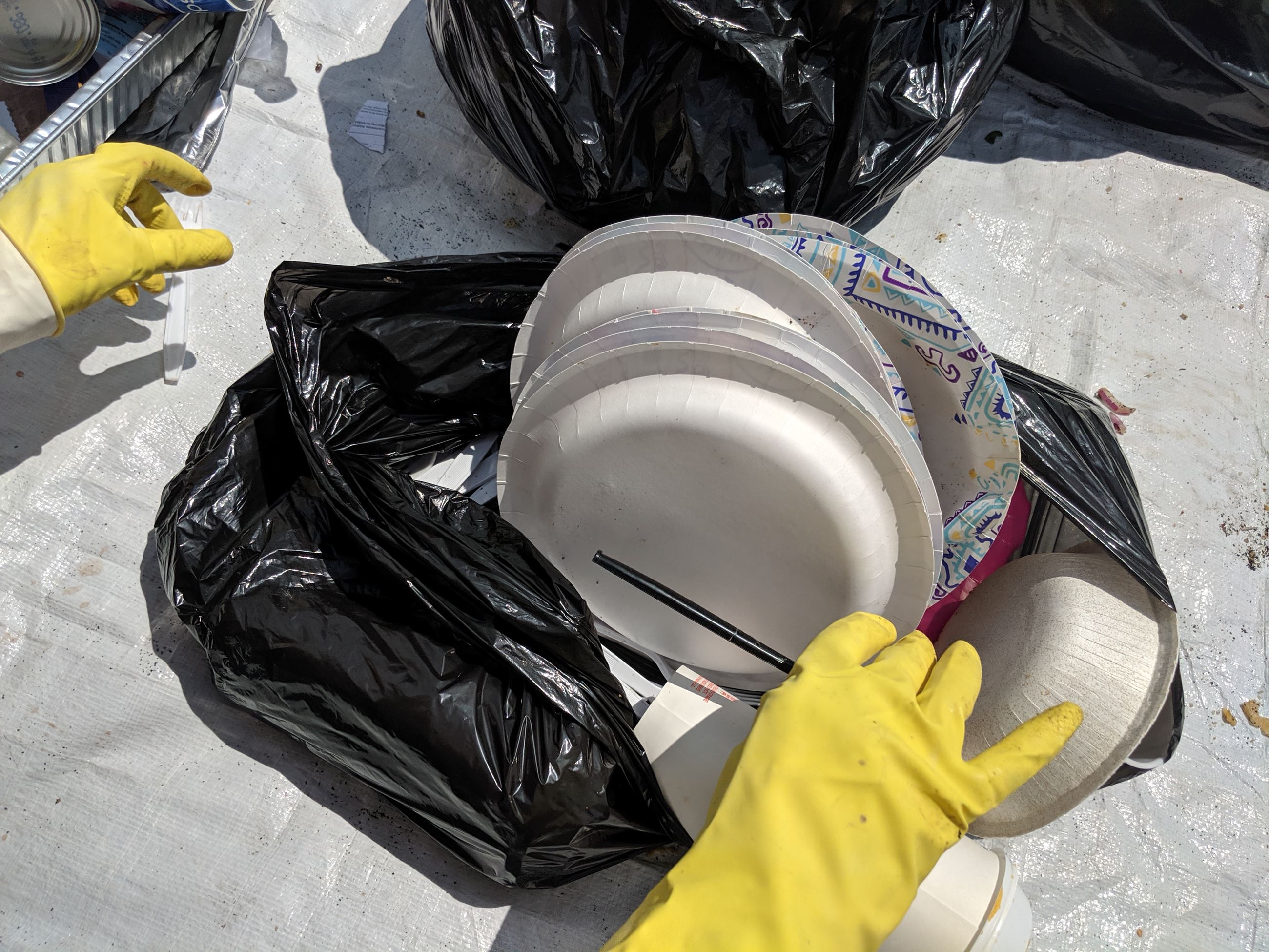 MVIMG_20190807_134712