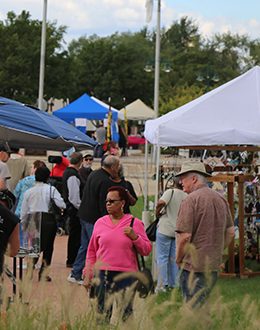 Park Forest Art Fair 21