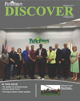 Discover cover nf size