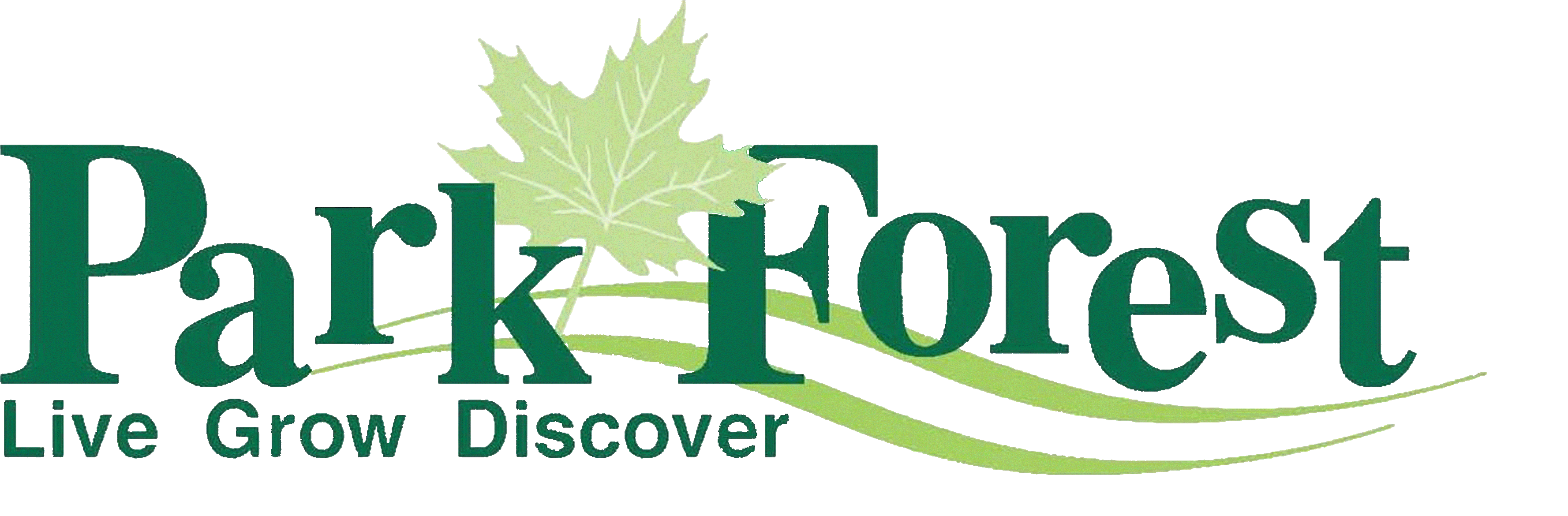 Copy of Transparent Logo